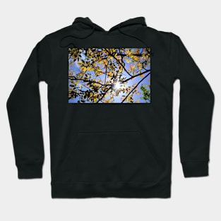 Spring sun Hoodie